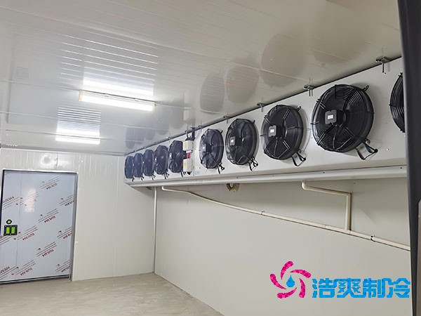 建造500平方米梨子保鲜菠萝蜜在线观看的费用是多少？-菠萝蜜视频在线免费观看制冷