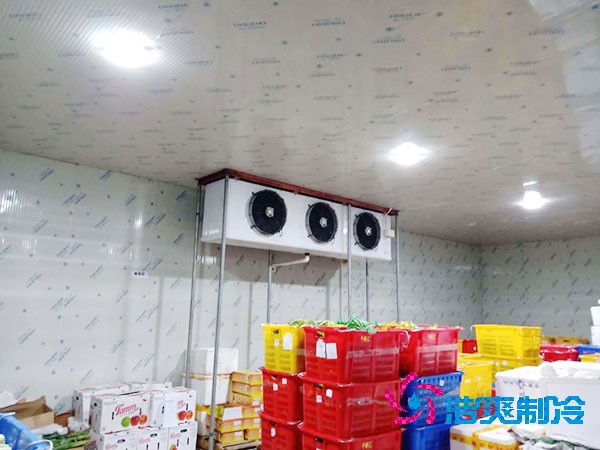 农业菠萝蜜在线观看造价