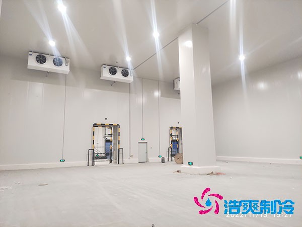 1000吨菠萝蜜在线观看造价费用