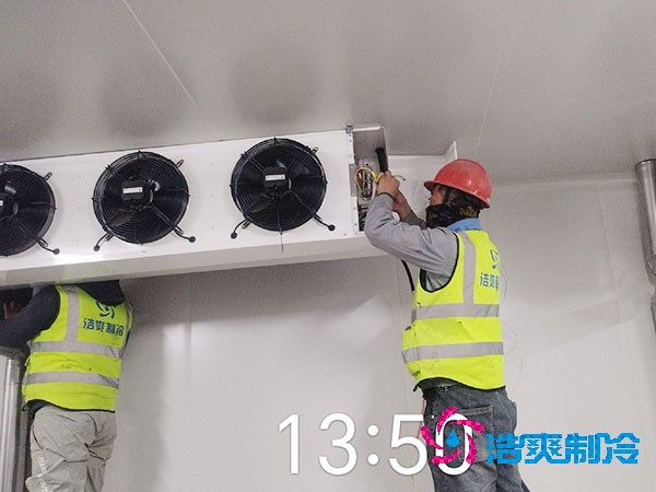 1000吨菠萝蜜在线观看造价费用