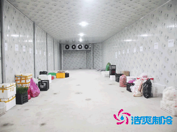 建造一个200平方米的恒温菠萝蜜在线观看需要多少资金？