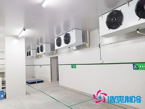 上海低温菠萝蜜在线观看造价大概是多少钱