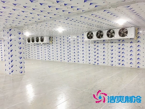 菠萝蜜在线观看建设费用