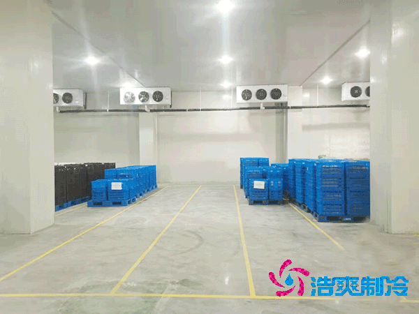 加工厂菠萝蜜在线观看安装造价成本大概多少钱？