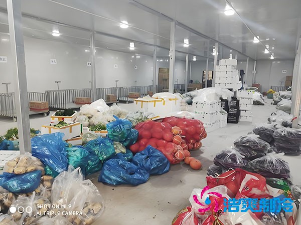  建造一个保鲜菠萝蜜在线观看造价预算大概是多少钱？