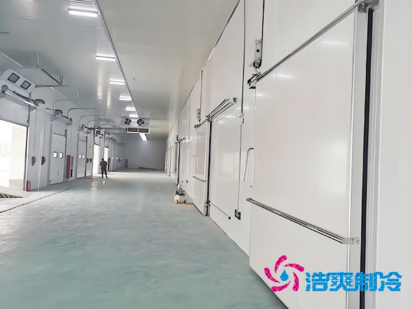 500吨容量菠萝蜜在线观看造价