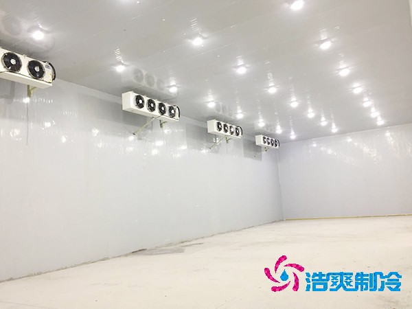 100吨蔬菜保鲜菠萝蜜在线观看造价