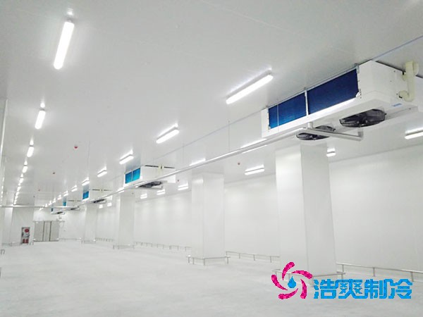 5000吨大型菠萝蜜在线观看造价