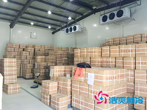 千吨级食品菠萝蜜在线观看造价预算