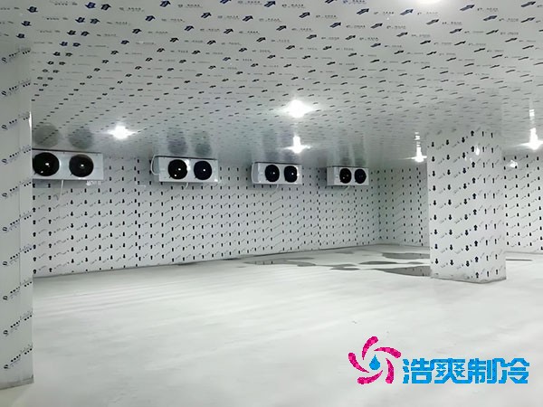 急冻菠萝蜜在线观看安装造价