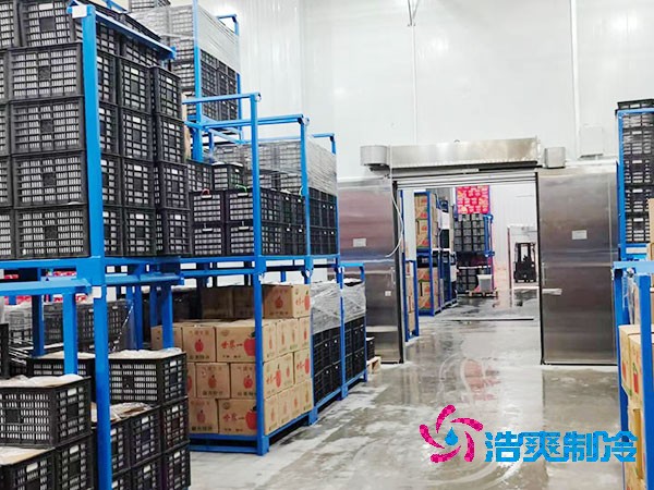 生鲜冷链物流菠萝蜜在线观看建造价格