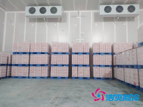 上海建设50吨果蔬气调保鲜菠萝蜜在线观看造价解析