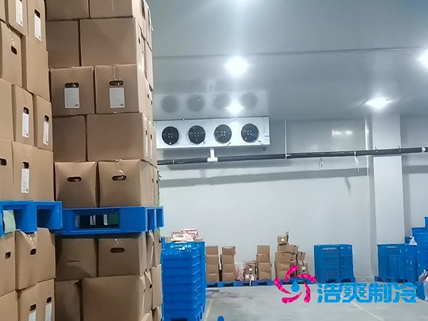 建造鱼糜制品低温菠萝蜜在线观看的费用及其重要性
