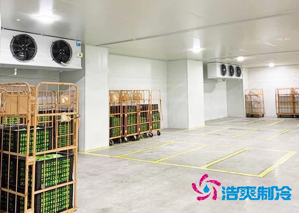 玉米菠萝蜜在线观看造价