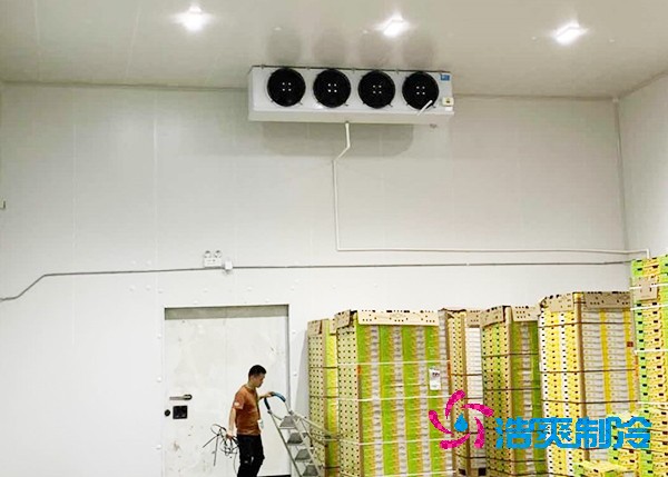 玉米菠萝蜜在线观看造价