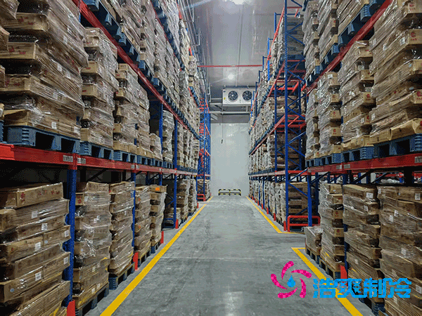 大型菠萝蜜在线观看造价成本