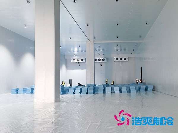 菠萝蜜在线观看造价成本