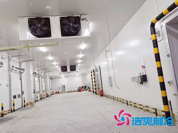 1000立方菠萝蜜在线观看造价预算及耗电量解析