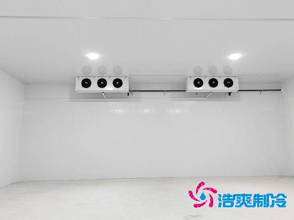 小型速冻菠萝蜜在线观看建造价格