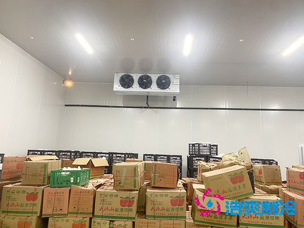 水果菠萝蜜在线观看造价