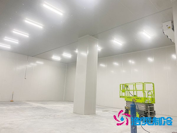 咖啡厂菠萝蜜在线观看造价