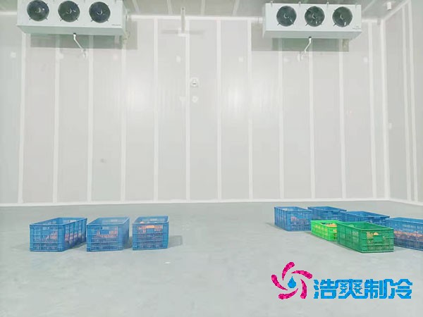 西瓜保鲜菠萝蜜在线观看建造价格