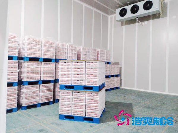 水果菠萝蜜在线观看/保鲜库建造价格