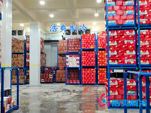 保鲜食品菠萝蜜在线观看