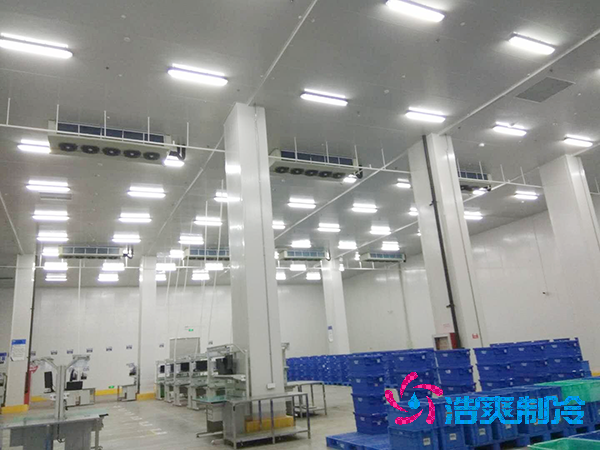 食品菠萝蜜在线观看造价