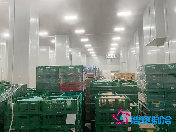 食品菠萝蜜在线观看造价