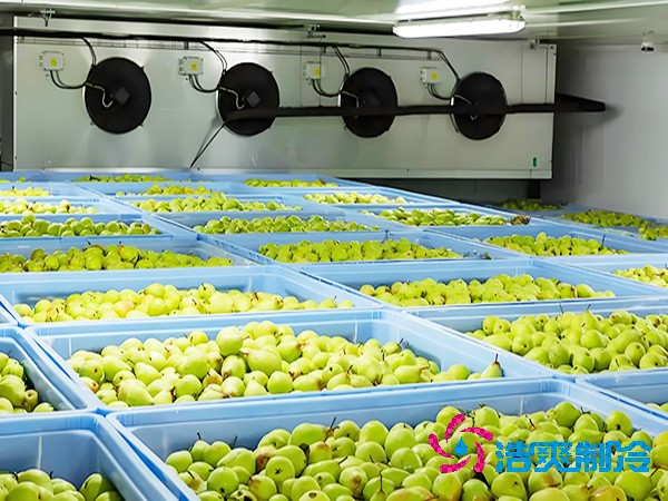 果蔬菠萝蜜在线观看造价