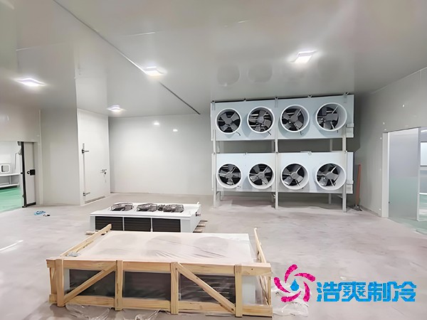 肉制品食品加工菠萝蜜在线观看