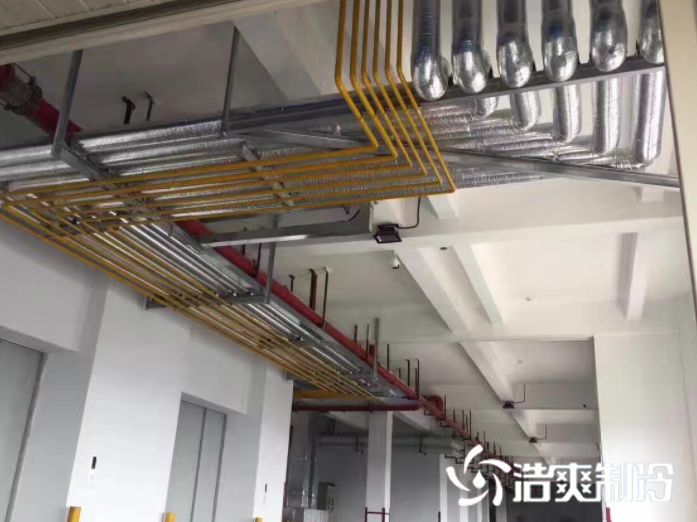 氟利昂系统菠萝蜜在线观看设计安装