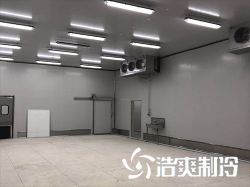 菠萝蜜在线观看建造费用