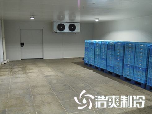 食品菠萝蜜在线观看建造价格