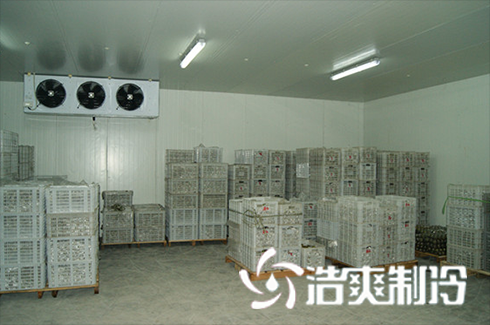 食品加工型低温冷藏库价格
