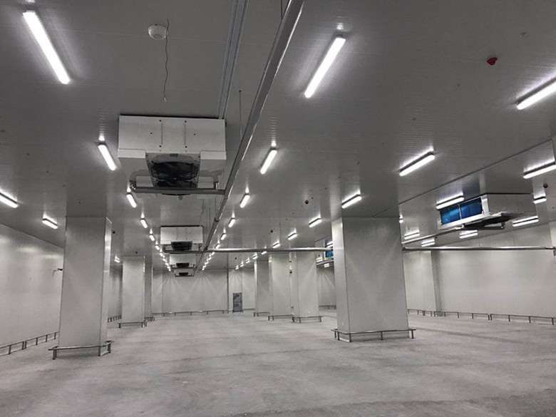 菠萝蜜视频在线免费观看制冷、海鲜菠萝蜜在线观看