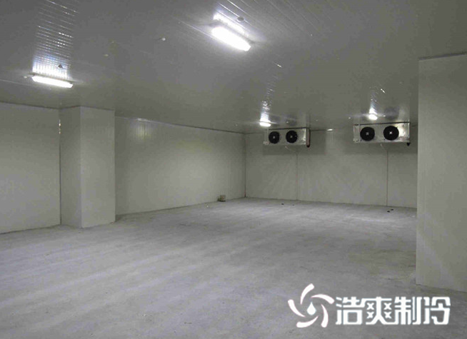 恒温菠萝蜜在线观看建造