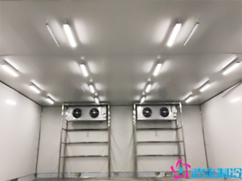 湖北78000m³食品加工菠萝蜜在线观看建造安装