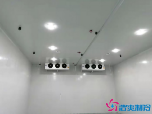 上海巴洛美巧克力食品菠萝蜜在线观看建造设计