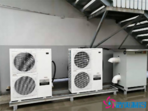 上海巴洛美巧克力食品菠萝蜜在线观看建造设计