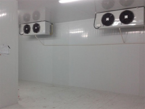 浙江绍兴养乐多乳制品菠萝蜜在线观看建造安装