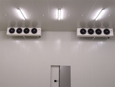 四川天翔食品多功能物流菠萝蜜在线观看建造工程