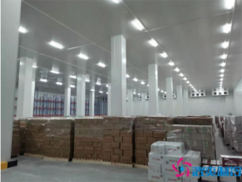 湖南宇培10000平方米低温物流菠萝蜜在线观看建造